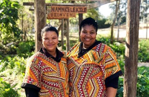 Addo Cabin | Addo African Home