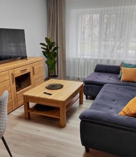 Druskininkai Apartment | Adelės apartamentai