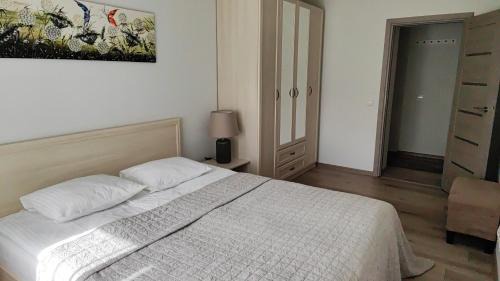 Druskininkai Apartment | Adelės apartamentai
