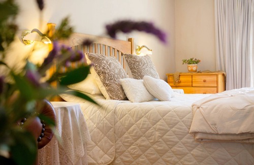 Oudtshoorn House | Adley House Guesthouse