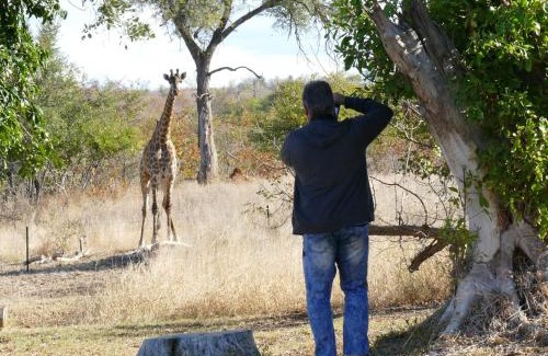 Phalaborwa House | Adonsonia Lodge