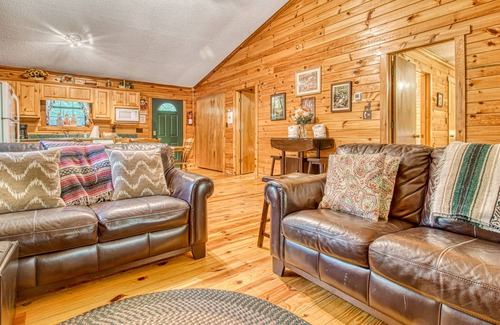 Sautee Nacoochee Cabin | Adorable cabin w/a hot tub, air hockey, & firepit Close to state park