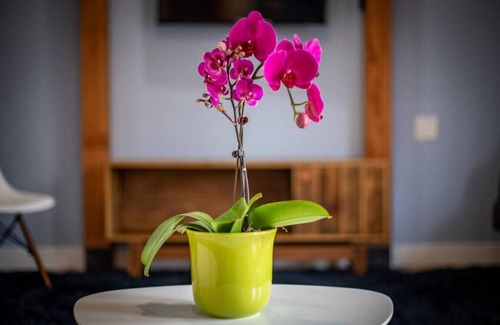 East Central House | Adorable & Pet Friendly-Close to U and Downtown!