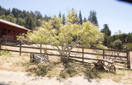 Santa Cruz House | Adorable Remodeled Vintage Boxcar