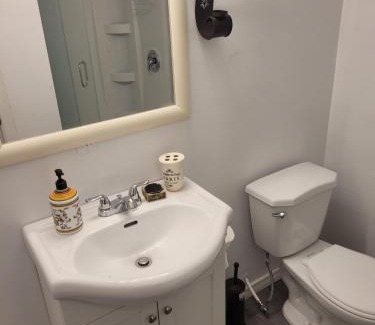 Barrie House | Adorable Studio Basement Suite in South Barrie