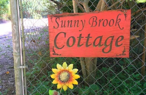 Mena House | Adorable tiny house, private, wooded view, stream, edge of national forest, near Wolf Pen