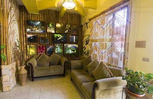 Ciudad Cariari Hotel | Adventure Inn
