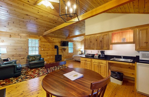 Northport Apartment | Adventure ready studio cabin with wooded views, fireplace, & AC