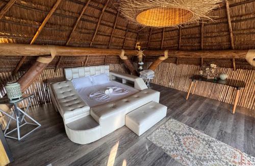 Alegrias Hotel | Aero Glamping Hotel Pereira