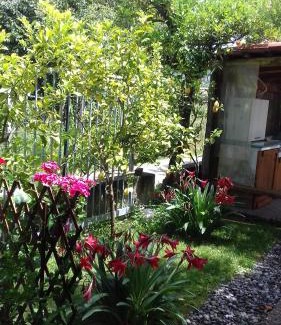 Policastro Bussentino House | Affittacamere da Rosa
