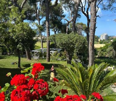 Numana House | Affittacamere Villa Anna