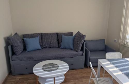 Kraljevo Apartment | Affordable and Newly Renovated 1-bedroom Apartment