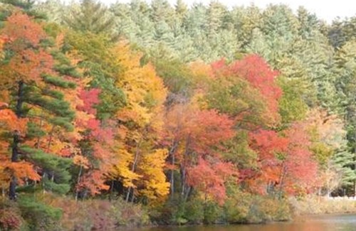 Sunday River Area Apartment | Affordable, Family Friendly Vacation Home In Western Maine And Sunday River Area