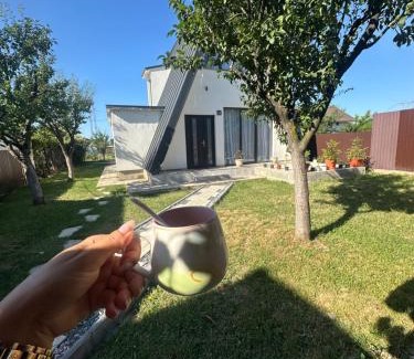 Baia de Fier Ski Chalet | Aframe -Melissa