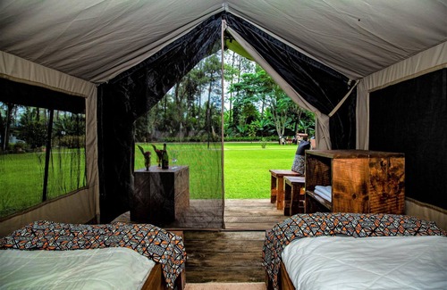 Mto wa Mbu Cabin | Africa Safari Camping Mto wa Mbu