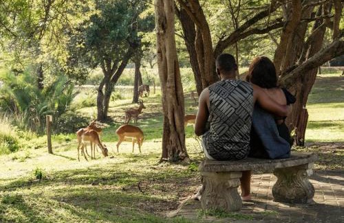 Hluhluwe Cabin | AfriCamps at Bonamanzi Game Reserve