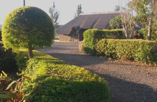 Mkhondo Bed & Breakfast | African Flair Country Lodge