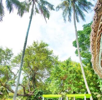 Mtwapa Villa | African Funhouse Mtwapa, Creek View, Jacuzzi, Table Tennis & more