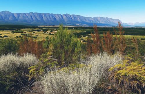 Tulbagh Other | African Glamping Huts Plus Free Massage With Sauna And Hot Tub