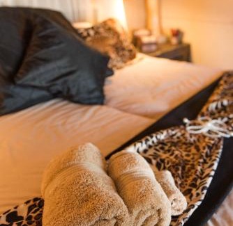 Hoedspruit Cabin | African Rock Lodge