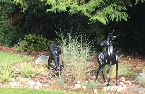 Hillsborough Bed & Breakfast | African Safari Guest Lodge
