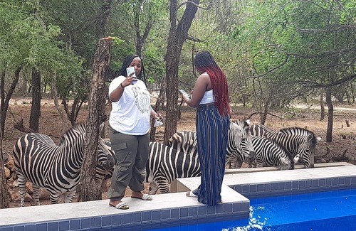 Marloth Park Villa | African Sky Villas