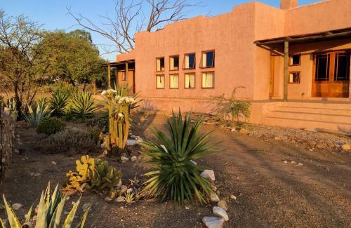 Prince Albert House | AGAVE HOUSE