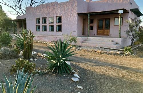 Prince Albert House | AGAVE HOUSE