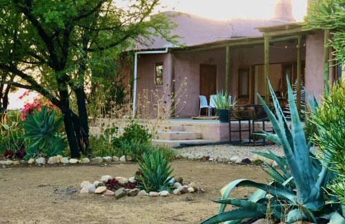 Prince Albert House | AGAVE HOUSE