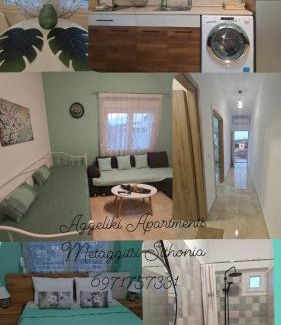 Metagkitsi Apartment | Aggeliki apartment