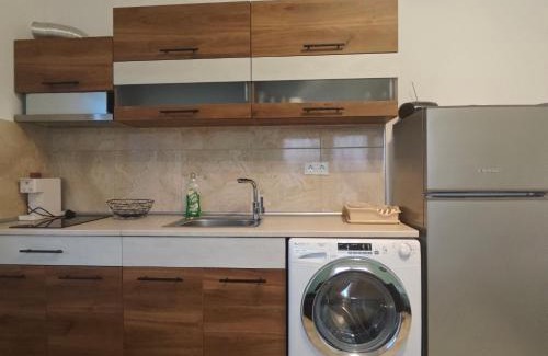 Metagkitsi Apartment | Aggeliki apartment