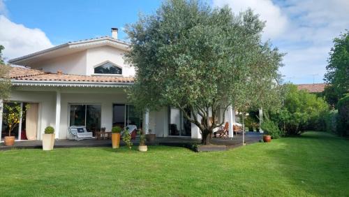 Andernos-les-Bains Bed & Breakfast | Agréable Maison sur le Bassin d'Arcachon
