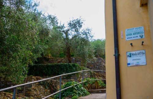 Dolcedo Apartment | Agri Borgata Vallone - Apartments - by HOST4U