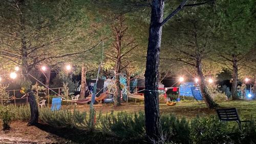 Certaldo Other | AGRiCAMPiNG POGGiO Ai PiNi WiNE CAMPiNG