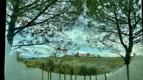 Certaldo Other | AGRiCAMPiNG POGGiO Ai PiNi WiNE CAMPiNG