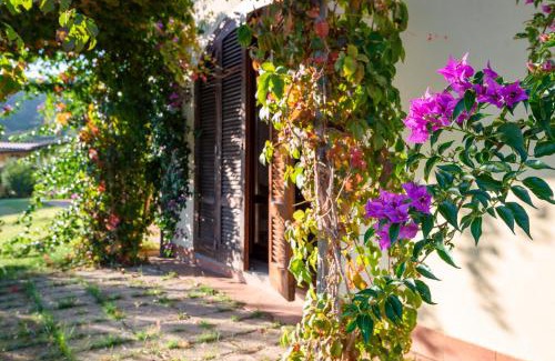 Pian di Rocca House | Agriturismo Terre di Castiglione