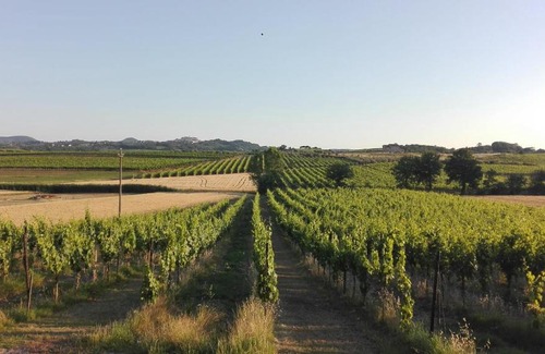 Abbadia di Montepulciano House | Agriturismo La Chiesina