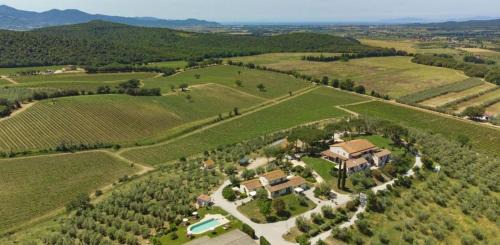 Massa Marittima House | Agriturismo Baia degli Ulivi