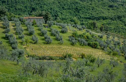 Castiglione d'Orcia House | Agriturismo Bindozzino