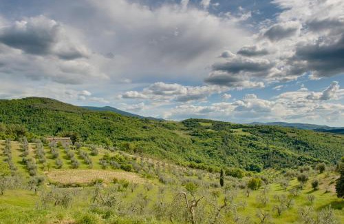 Castiglione d'Orcia House | Agriturismo Bindozzino