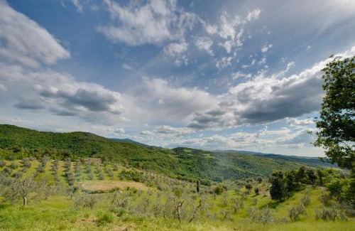 Castiglione d'Orcia House | Agriturismo Bindozzino