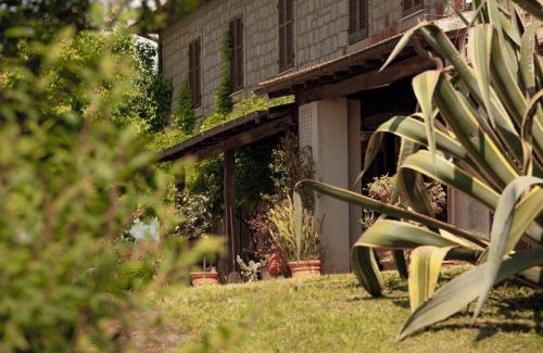 Roccalbegna House | Agriturismo Bio Aia della Colonna