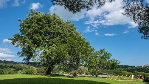 Poderi House | Agriturismo Bio Le Macchie Alte
