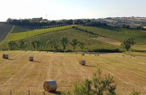 Montemarciano House | Agriturismo bio Verde Armonia