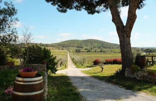 Suvereto House | Agriturismo biologico Bulichella