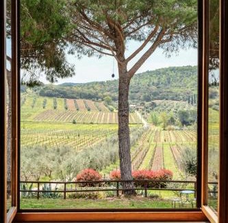 Suvereto House | Agriturismo biologico Bulichella