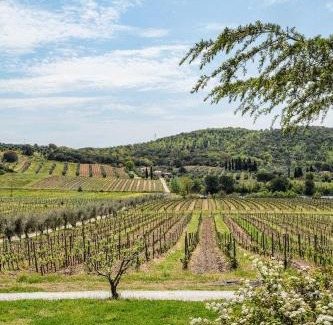 Suvereto House | Agriturismo biologico Bulichella