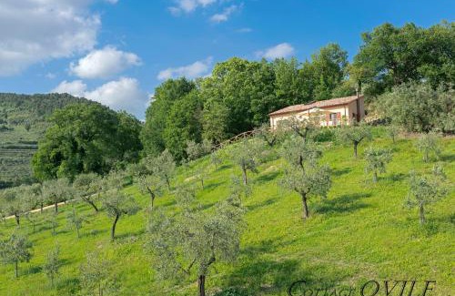 Spello Apartment | Agriturismo Cuore Verde Cottage Ovile