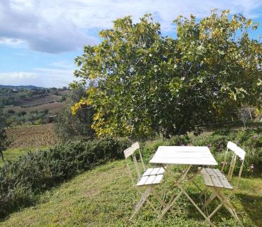 Senigallia House | Agriturismo I Ciliegi Appartamento Ginestra