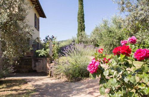 Bettona House | Agriturismo Il Cerreto